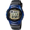 Casio W-213-2A