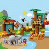 10906 Tropical Island (Тропический остров)