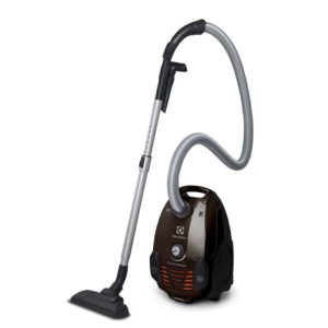 Electrolux PowerForce (ZPF2220)