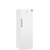 Beko FNKW290T21W