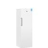 Beko RFNK290T21W
