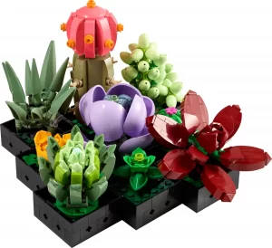 10309 Succulents (Суккуленты)