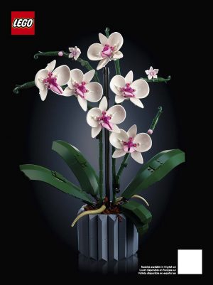 10311 Orchid (Орхидея)