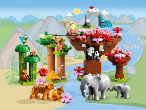 10974 Wild Animals of Asia (Дикие животные Азии)