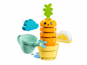10981 Growing Carrot (Выращивание моркови)
