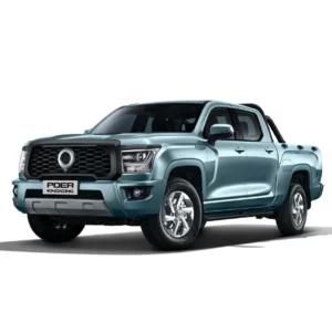 Great Wall Poer King Kong (2022 - нв)