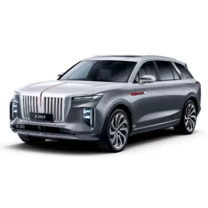 Hongqi E-HS9 (2020 - нв)