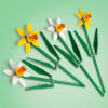 40747 Daffodils (Нарциссы)