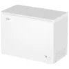Haier HCE301R