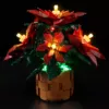 10370 Poinsettia (Пуансеттия)