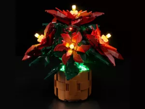 10370 Poinsettia (Пуансеттия)