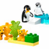 10442 Wild Animal Families: Penguins & Lions (Семейства диких животных: пингвины)
