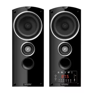 Ginzzu GM-301