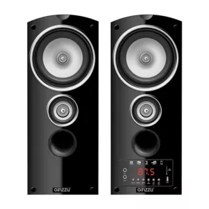 Ginzzu GM-302