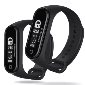 Pandora Band